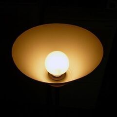 ☆フロアライト フロアランプ カサの直径235mm 高さ1365mm 間接照明 電球色 スタンドライト 札幌市 豊平区 平岸店の画像