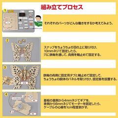 ちょうちょ 蝶 木製模型 組み立てキット 小学生 子供 おもちゃ 工作 自由研究 簡単 夏休み 冬休み 昆虫 ミニチュア かわいい 図工 プレゼント 知育玩具の画像