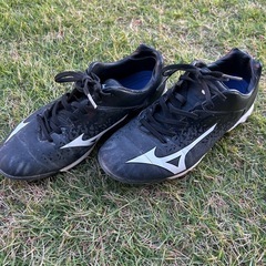 少年野球スパイク　24.5cmの画像
