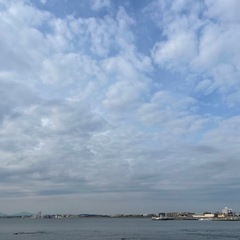  ⛄️2025年12月14日(日)フローyoga class開催🧘‍♀️❄️の画像