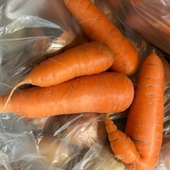 取引中⭐︎今朝採れたての小玉ねぎ15個.にんじん20本の画像