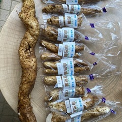 自然薯掘り体験も出来ます。
の画像