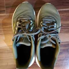 Adidas Duramo SL 2.0 レディース サイズ 250の画像