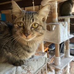 4ヶ月の兄妹❗️