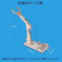 水圧式 ロボットアーム 工作キット 科学 小学生 子供 おもちゃ 圧力 ロボットハンド 自由研究 夏休み 冬休み 理科 科学 図工 プレゼント 知育玩具 モノづくりの画像