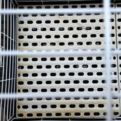 イージーホーム80  サンコー うさぎゲージ トレイ新品の画像