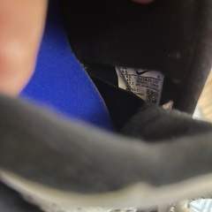 NIKE ZOOMFLIGHT95の画像