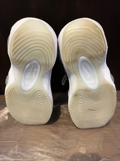 NIKE ZOOMFLIGHT95