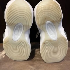 NIKE ZOOMFLIGHT95の画像