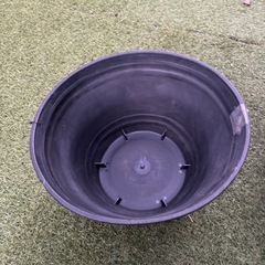 メダカ用睡蓮鉢の画像