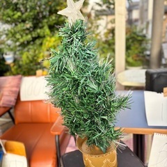 ファイバークリスマスツリーの画像
