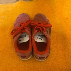 22.5　スニーカー中古の画像