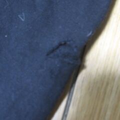 フロッギング・モリー　パーカーの画像