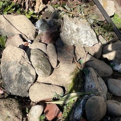 庭石（小）の画像