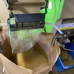 令和7年収穫　ヒノヒカリ　15キロ　兵庫米の画像