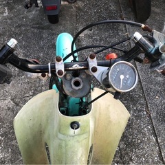 C50 カブ ①の画像