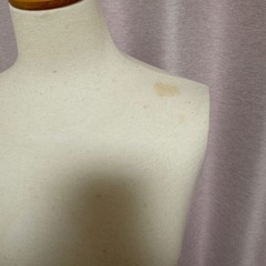 レディーストルソーの画像