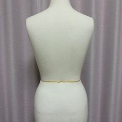 レディーストルソーの画像