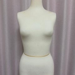 レディーストルソーの画像