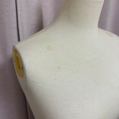 レディーストルソーの画像