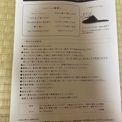 Softbank しゃべるお父さんスリッパの画像