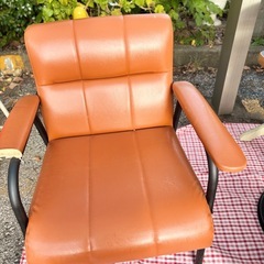 ダイニングチェアの画像