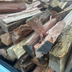 乾燥、訳あり杉軽トラ2台分価格4000円の画像