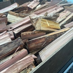 乾燥、訳あり杉軽トラ2台分価格4000円の画像