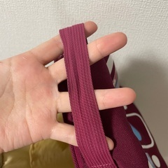 阪急リュックの画像