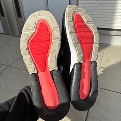 NIKE エアーマックス 29cmの画像