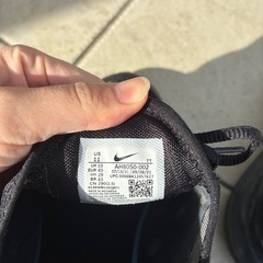 NIKE エアーマックス 29cmの画像
