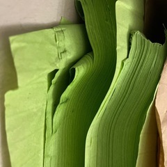 クレープ紙　ロール紙　ウグイスの画像