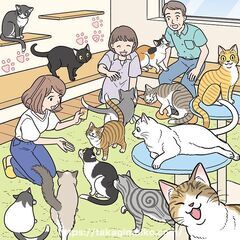 一緒に猫カフェ行きませんか？