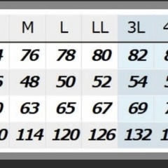 早い者勝ち‼️アイトス　TULTEX 上下共にLサイズ　作業着　防風　防寒　防水 新品　雪かき　釣りの画像