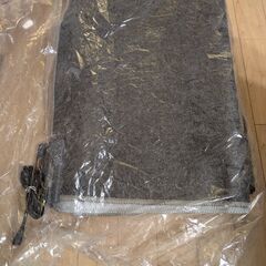 ホットカーペット 3畳 ダニ退治機能付きの画像