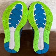 New Balance FUEL CORE URGE 25.5cmの画像