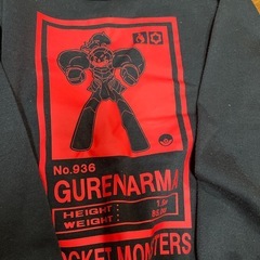 ポケモントレーナー140cmの画像