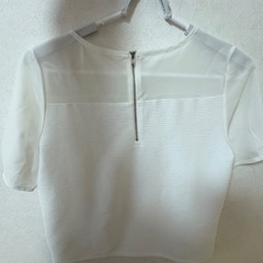 moussy カットソーの画像