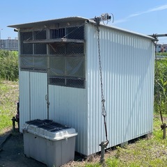 鳩小屋の画像