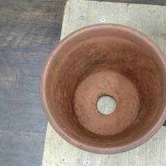 【リユ-スのサカイ広島石内店】ジモティ割！グラス/クリ-ニング済み/HG-6979/広島市　雑貨　佐伯区　雑貨　南区　雑貨　西区　雑貨　東区　雑貨　中区　雑貨　安佐南区　雑貨　安佐北区　雑貨　安芸郡　雑貨　　海田町　雑貨の画像