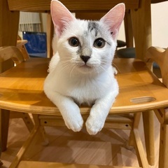 ふわふわ❤︎しらゆき