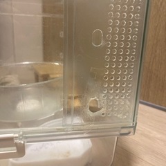 ハムスターゲージ（グラスハーモニー）の画像