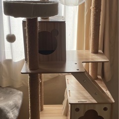 キャットタワーの画像