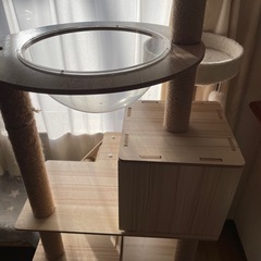キャットタワーの画像