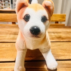 【状態良好】柴犬　ぬいぐるみの画像