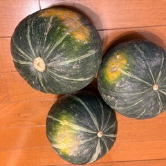 かぼちゃ【野菜】の画像