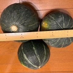 かぼちゃ【野菜】の画像