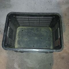 コンテナの画像