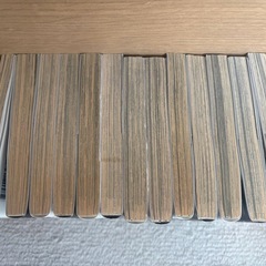 デッドマン・ワンダーランド☆全13巻の画像