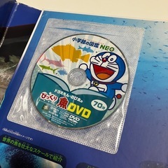小学館の図鑑neo のりもの/魚（DVDつき）　 の画像